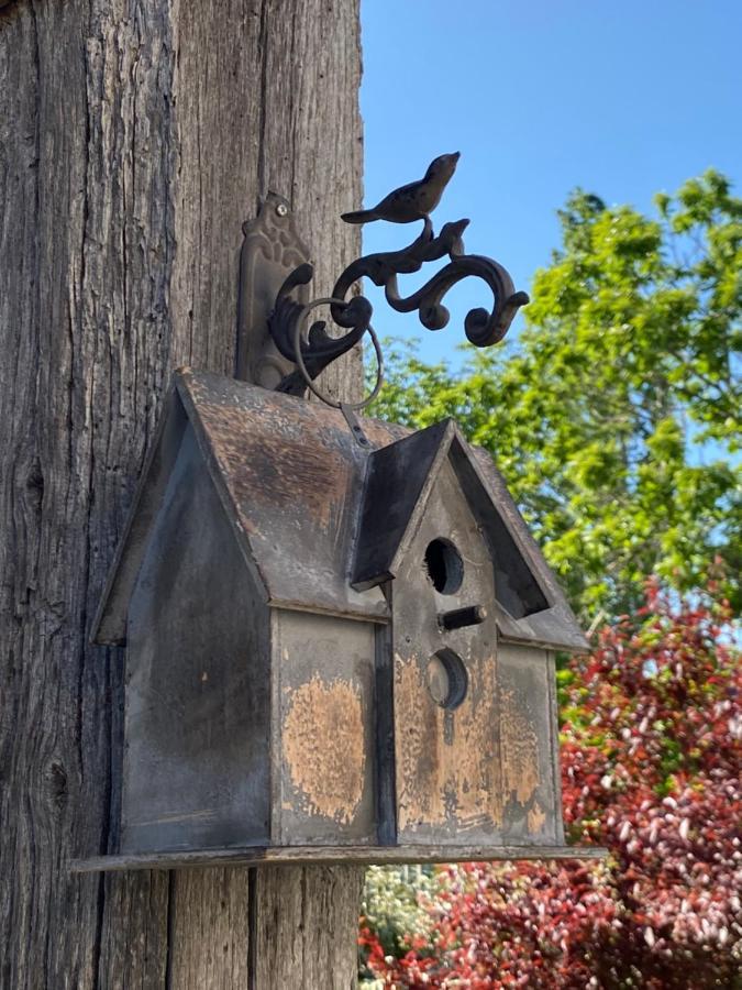 Gite Les Robins Vergigny Exterior photo